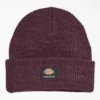 Berretto con risvolto Dickies Skateboarding Berretto con risvolto Dickies Skateboarding