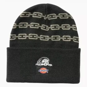 Berretto Dickies X Lurking Class