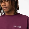 Camicia con grafica a maniche corte Cleveland