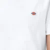 Camicia da donna a maniche corte con taschino Camicia da donna a maniche corte con taschino