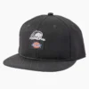 Cappellino a visiera piatta Dickies X Lurking Class