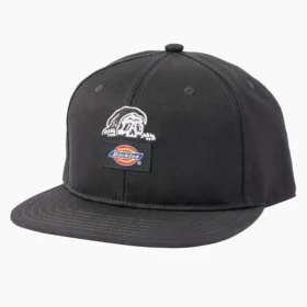 Cappellino a visiera piatta Dickies X Lurking Class