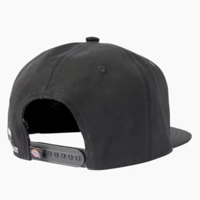 Cappellino a visiera piatta Dickies X Lurking Class