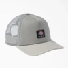 Cappellino da baseball Dickies Skateboarding Cappellino da baseball Dickies Skateboarding