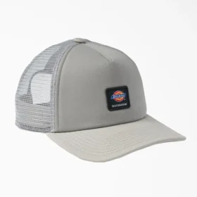 Cappellino da baseball Dickies Skateboarding