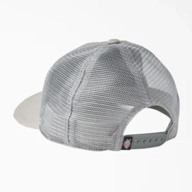 Cappellino da baseball Dickies Skateboarding