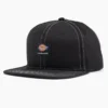 Cappellino da skateboard Dickies Skateboarding con visiera piatta e chiusura a scatto Cappellino da skateboard Dickies Skateboarding con visiera piatta e chiusura a scatto