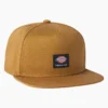Cappellino da skateboard Dickies Skateboarding Mid Pro