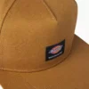Cappellino da skateboard Dickies Skateboarding Mid Pro