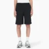 Dickies Skateboarding Grants Pass Pantaloncini dalla vestibilità comoda, 9″ Dickies Skateboarding Grants Pass Pantaloncini dalla vestibilità comoda, 9″