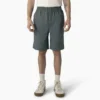 Dickies Skateboarding Grants Pass Pantaloncini dalla vestibilità comoda, 9″ Dickies Skateboarding Grants Pass Pantaloncini dalla vestibilità comoda, 9″