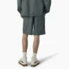 Dickies Skateboarding Grants Pass Pantaloncini dalla vestibilità comoda, 9″ Dickies Skateboarding Grants Pass Pantaloncini dalla vestibilità comoda, 9″