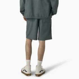 Dickies Skateboarding Grants Pass Pantaloncini dalla vestibilità comoda, 9″