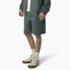 Dickies Skateboarding Grants Pass Pantaloncini dalla vestibilità comoda, 9″ Dickies Skateboarding Grants Pass Pantaloncini dalla vestibilità comoda, 9″
