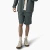 Dickies Skateboarding Grants Pass Pantaloncini dalla vestibilità comoda, 9″ Dickies Skateboarding Grants Pass Pantaloncini dalla vestibilità comoda, 9″