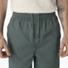 Dickies Skateboarding Grants Pass Pantaloncini dalla vestibilità comoda, 9″ Dickies Skateboarding Grants Pass Pantaloncini dalla vestibilità comoda, 9″