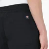 Dickies Skateboarding Grants Pass Pantaloncini dalla vestibilità comoda, 9″ Dickies Skateboarding Grants Pass Pantaloncini dalla vestibilità comoda, 9″