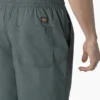 Dickies Skateboarding Grants Pass Pantaloncini dalla vestibilità comoda, 9″ Dickies Skateboarding Grants Pass Pantaloncini dalla vestibilità comoda, 9″
