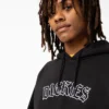 Felpa con cappuccio e logo Union Springs Felpa con cappuccio e logo Union Springs