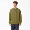 Felpa con cappuccio in pile Dickies Skateboarding Relief
