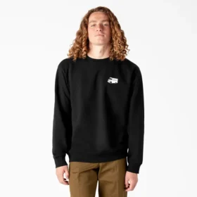 Felpa Dickies Skateboarding con grafica Pool Drainage