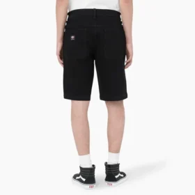 Pantaloncini Dickies Skateboarding Wingville a vestibilità ampia, 11″