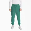 Pantaloni da lavoro jogger Eds Nxt da uomo