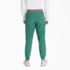 Pantaloni da lavoro jogger Eds Nxt da uomo