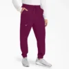 Pantaloni da lavoro jogger Eds Nxt da uomo