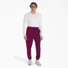Pantaloni da lavoro jogger Eds Nxt da uomo