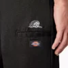 Pantaloni Double Knee Dickies X Lurking Class Regular Fit Pantaloni Double Knee Dickies X Lurking Class Regular Fit