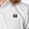 Polo da rugby Dickies Skateboarding Polo da rugby Dickies Skateboarding