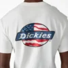 T-shirt con grafica del logo Americana